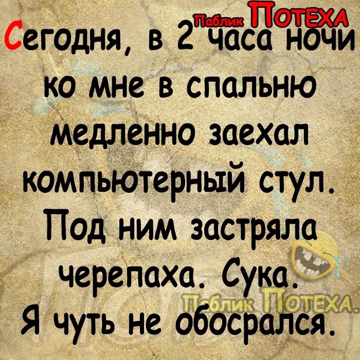 Сегодня в 2баса НОЧи ко мне в спальню медленно заехал компьютерный стул _ Под ним застряла Черепаха Сука Я чуть не обосралёя