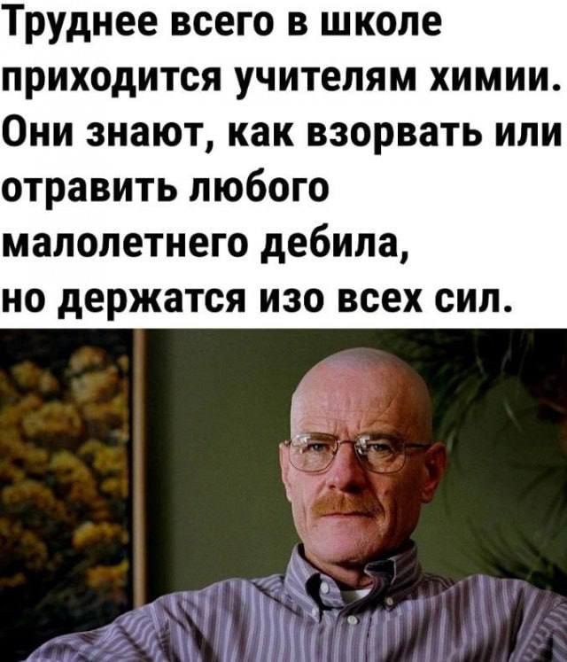 Труднее всего в школе приходится учителям химии Они знают как взорвать или отравить любого малолетнего дебила но держатся изо всех сил