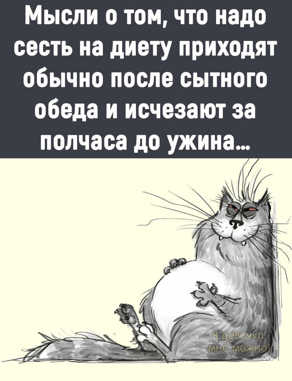 Мысли о том что надо сесть на диету приходят обычно после сытного обеда и исчезают за полчаса до ужина