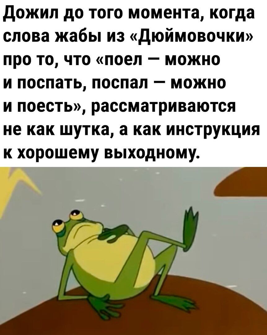 Дожил до того момента когда слова жабы из Дюймовочки про то что поел можно и поспать поспал можно и поесть рассматриваются не как шутка а как инструкция к хорошему выходному