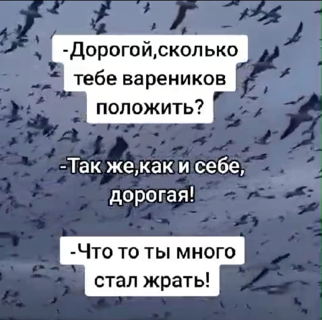 Дорогойсколько тебе вареников положить Так жехкак и себе дорогая Что то ты много стал жрать