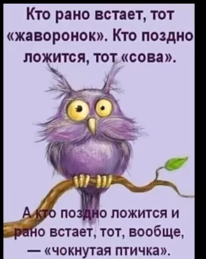 Кто рано встает тот жаворонок Кто поздно ложится тот сова АЛО по М о ЛоЖИТсЯ И йНо встает тот вообще чокнутая птичка