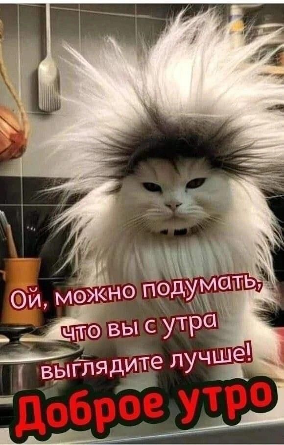 і ввдглядител Ча Уа _2