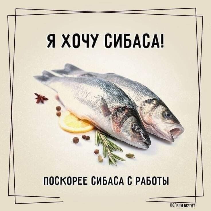 Я ХОЧУ СИБАСА ПОСКОРЕЕ СИБАСА С РАБОТЫ