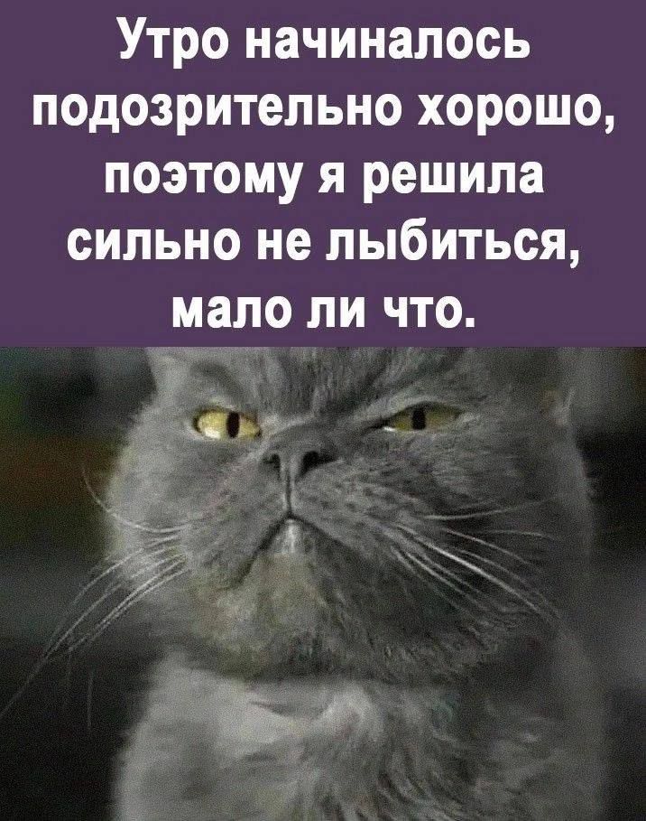 Утро начиналось подозрительно хорошо поэтому я решила сильно не лыбиться мало ли что ы оч я д4 ь К5 х 7 р ч