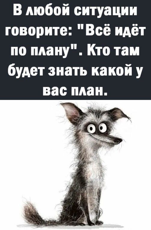 В любой ситуации говорите Всё идёт по плану Кто там будет знать какой у еТЫЛТЕТО