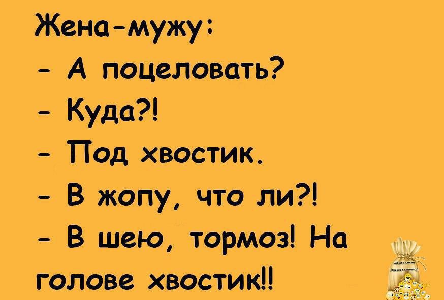 Жена мужу А поцеловать Куда Под хвостик В жопу что ли В шею тормоз На голове хвостик