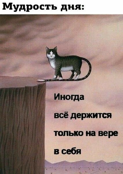 Мудрость дня