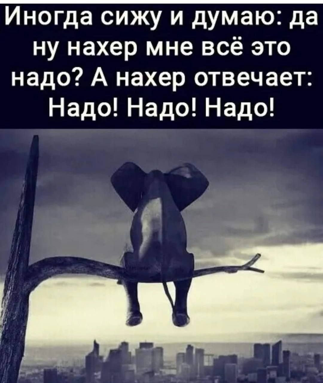 Иногда сижу и думаю да ну нахер мне всё это надо А нахер отвечает а о М в Узе В в Л 1