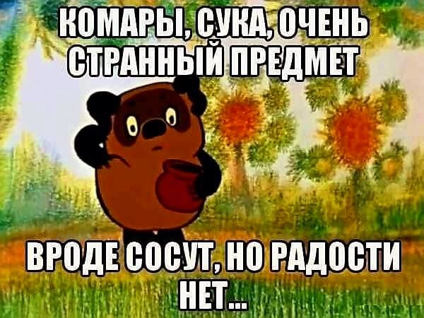 ВРОДЕ СОСУТ НОРАДОСТИ НЕТ