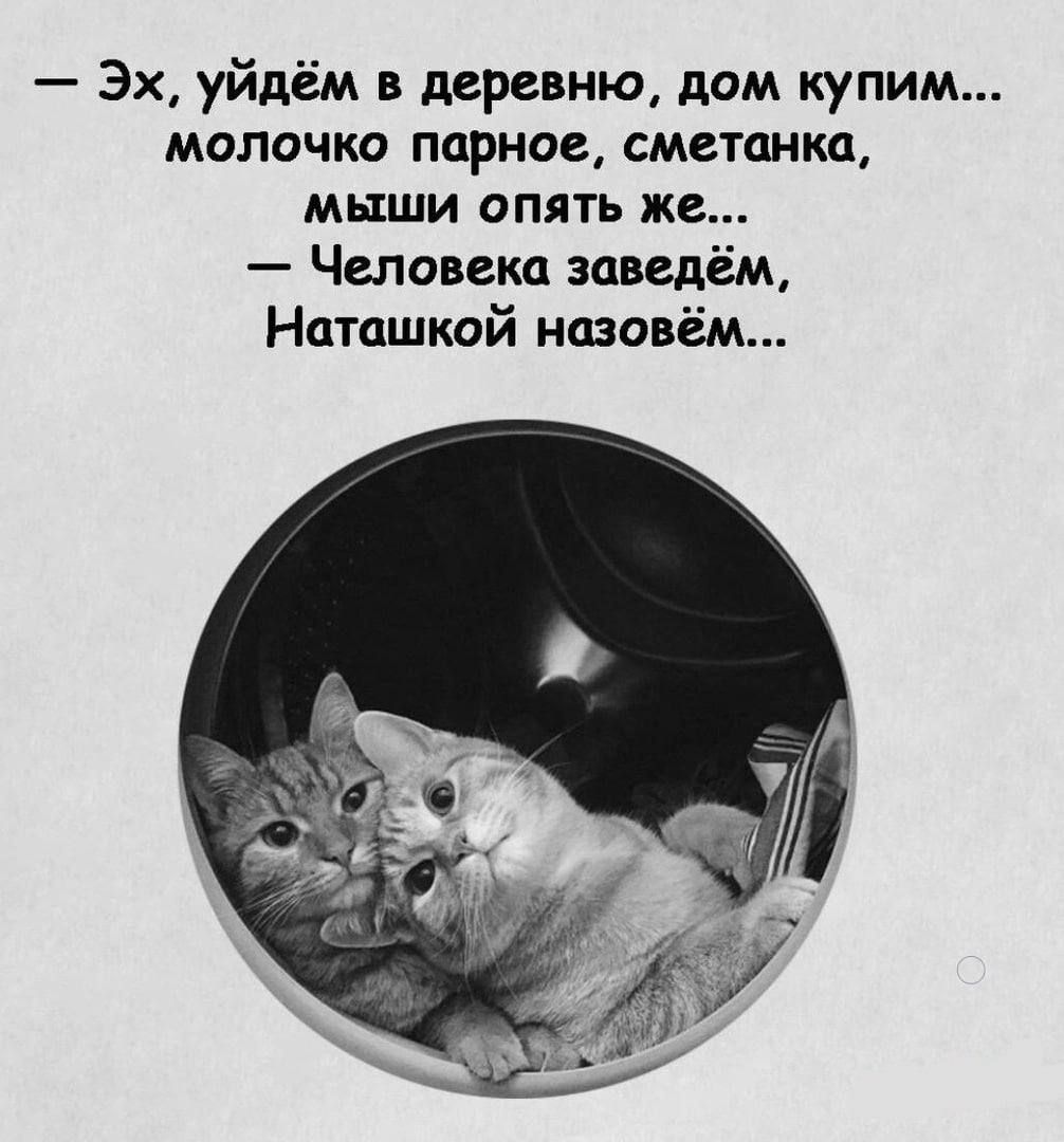 Эх уйдём в деревню дом купим молочко парное сметанка мыши опять же Человека заведём Наташкой назовём