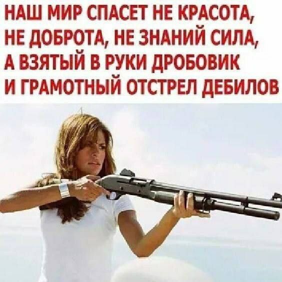 НАШ МИР СПАСЕТ НЕ КРАСОТА НЕ ДОБРОТА НЕ ЗНАНИЙ СИЛА АВЗЯТЫЙ В РУКИ ДРОБОВИК И ГРАМОТНЫЙ ОТСТРЕЛ ДЕБИЛОВ