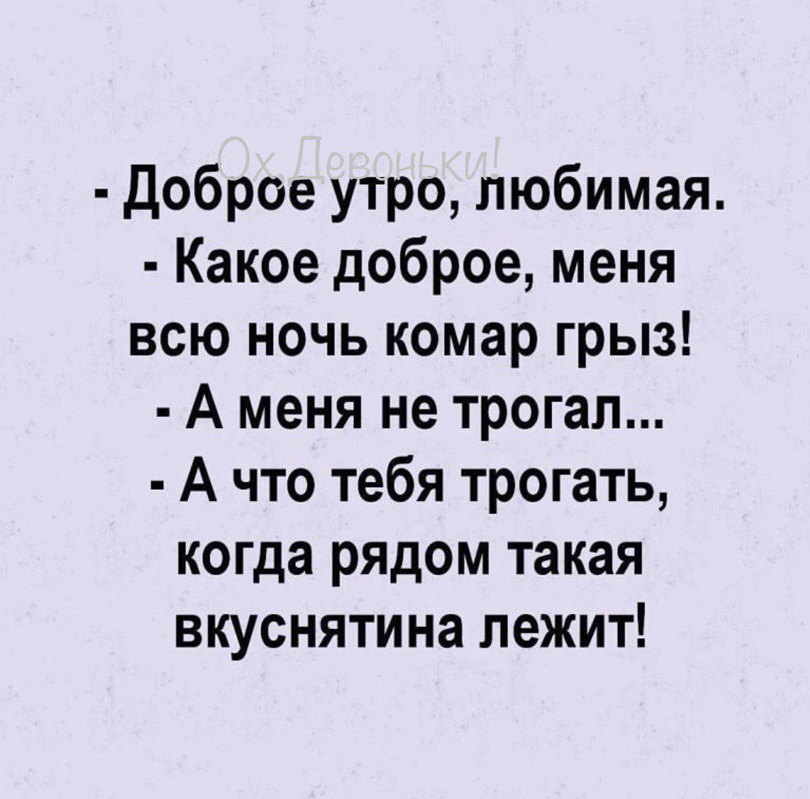 Доброе утро любимая Какое доброе меня всю ночь комар грыз А меня не трогал Ачто тебя трогать когда рядом такая вкуснятина лежит
