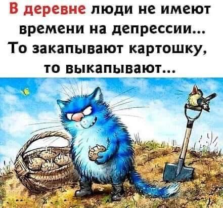 В деревне люди не имеют времени на депрессии То закапывают картошку то выкапывают оаа лоааньаеаб ао вна вОН