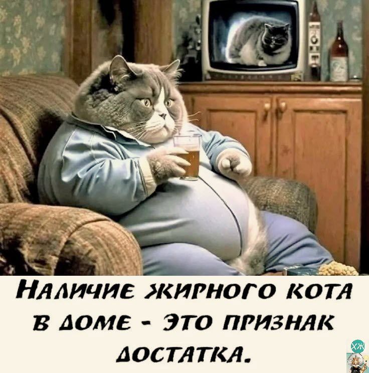 НяличиЕ жЖиРнНоГо КоТА В ЛОМЕ ЭТО ПРИЗНАК ДОСТАТКА