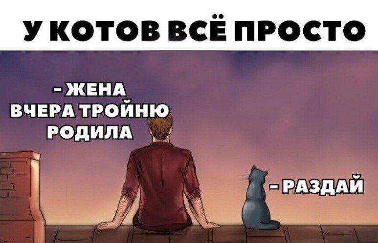 У КОТОВ ВСЁ ПРОСТО ЖЕНА_ ВЧЕРА ТРОИНЮ РОДИЛА _ З РАЗДАЙ __ Ы аса