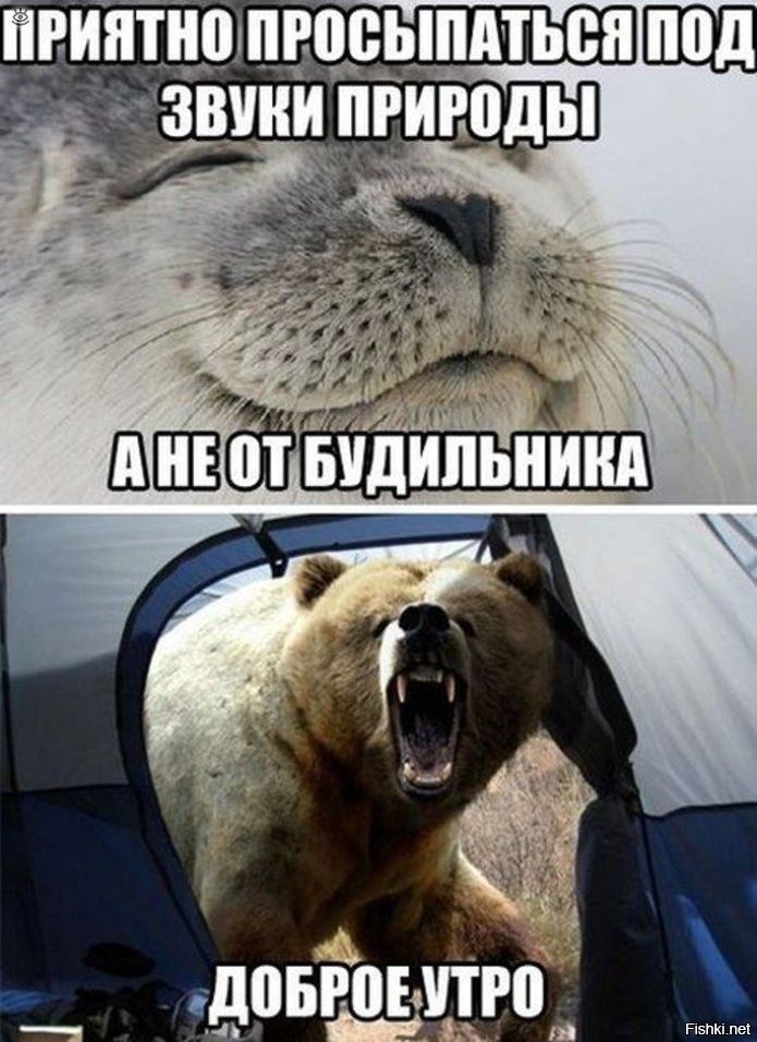 НРИЯТНО ПРОСЬИ