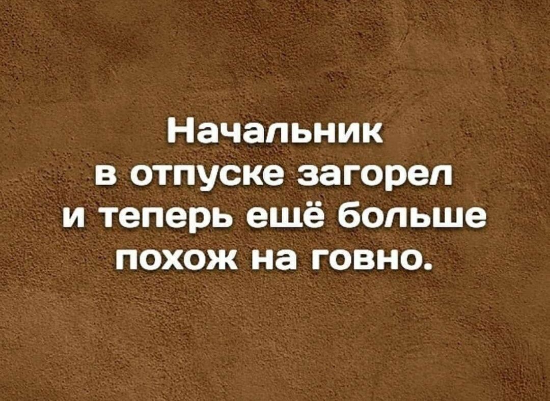 Начальник в отпуске загорел и теперь ешё больше похож на говно
