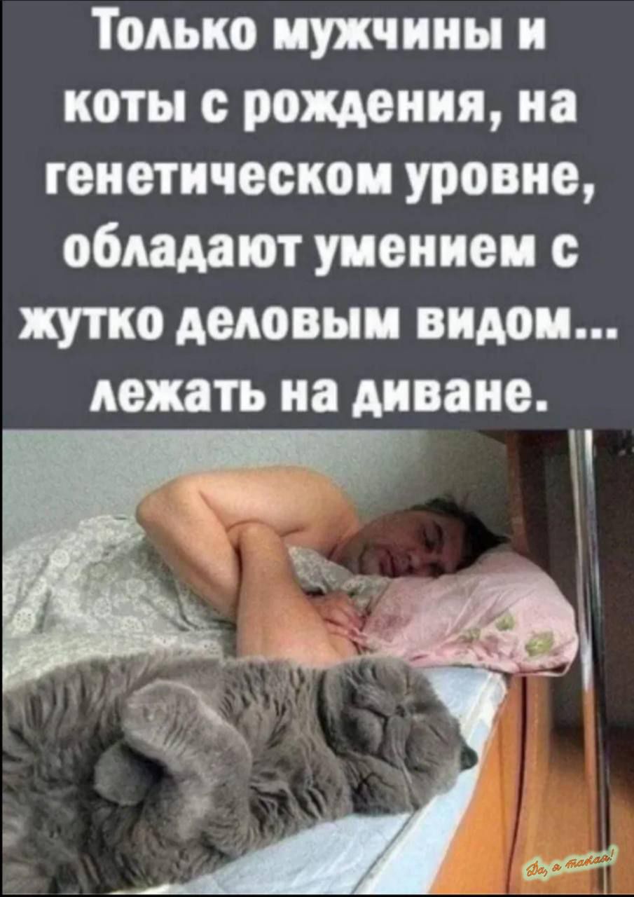 Только мужчины и коты с рождения на генетическом уровне обладают умением с жутко деловым видом лежать на диване