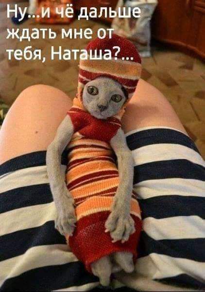 уйичё дапЫ дать мне от5