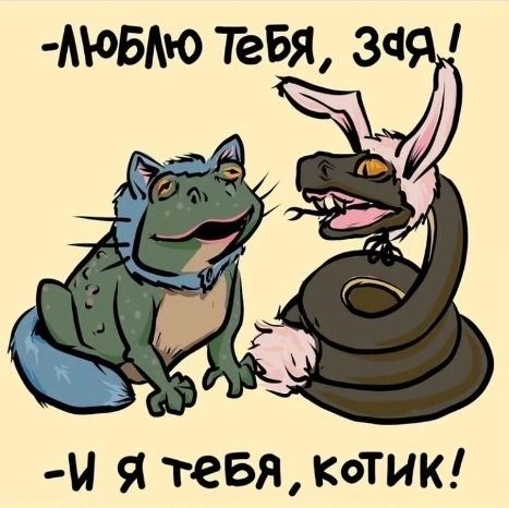 б М Я тебя котик