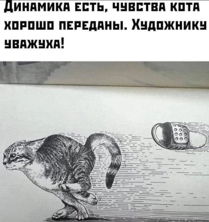 ДИНАМИКА ЕСТЬ ЧУВСТВА КОТА ХОРОШО ПЕРЕДАНЫ ХУДОЖНИКУ ЧВАЖУЧхА