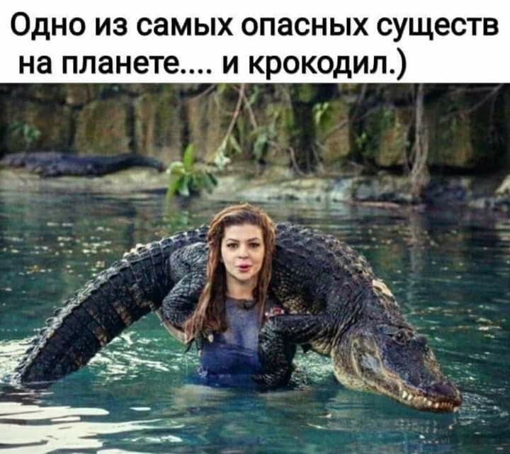 Одно из самых опасных суще на планете и крокодил