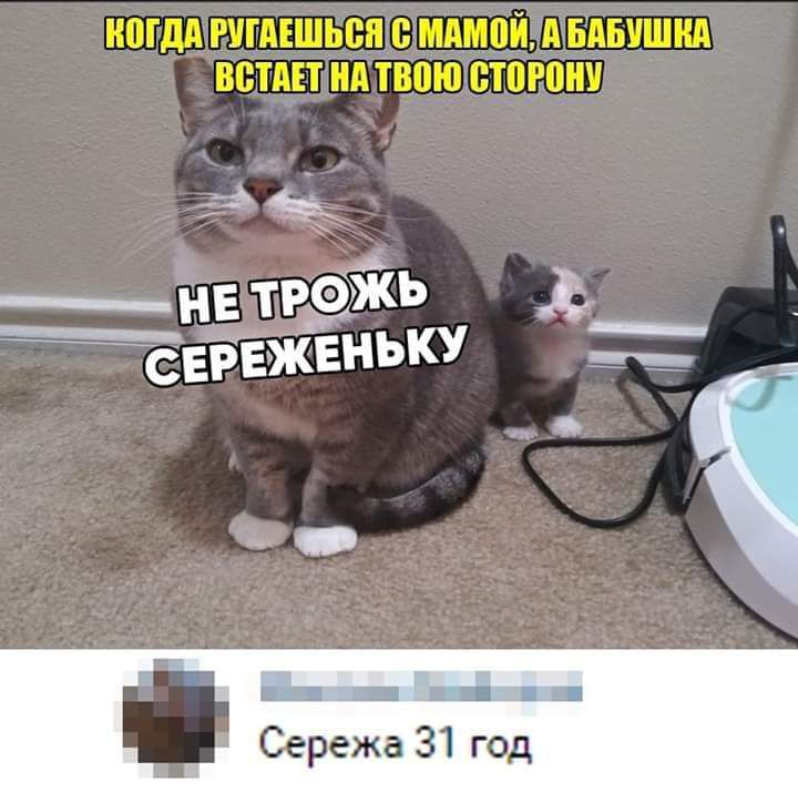 КОГДАРУГАЕШЬСЯСМАМОЙЧА БАБУШКЛ ВСТАЕПНА ТВОЮСТОРОНУ НЕ ТРЖЬ сывжвньку Сережа 31