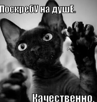 Поенпіеіпііна ДушеВ ъ Ц ы 0 Й ь Начественно