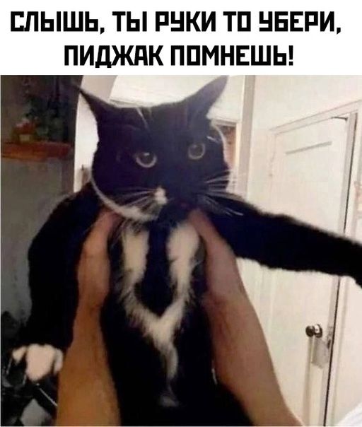 СЛЫШЬ ТЫ РУКИ ТО УБЕРИ ПИДЖАК ПОМНЕШЬ
