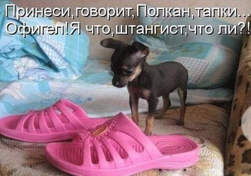 уеч ПИ 7