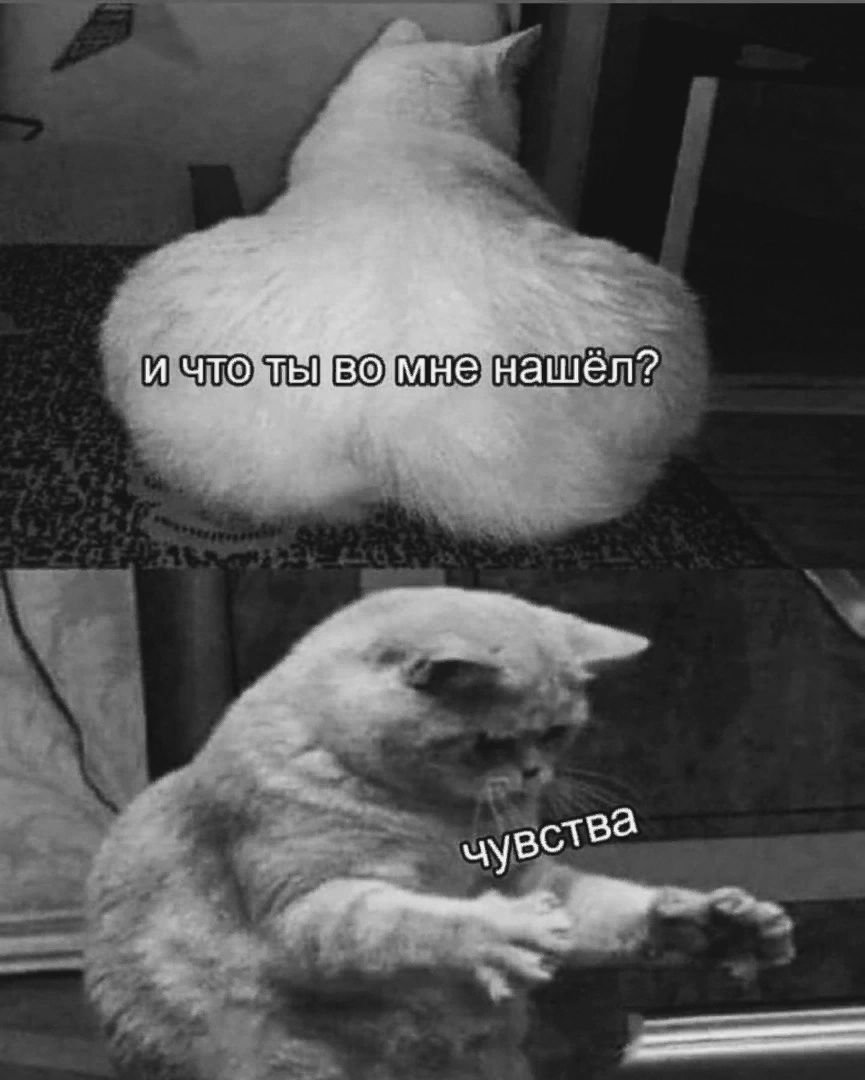 иалодЬЦвомнеднашел2