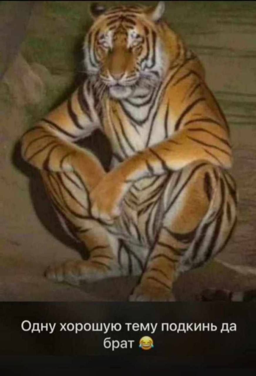 Одну хорошую тему подкинь да брат