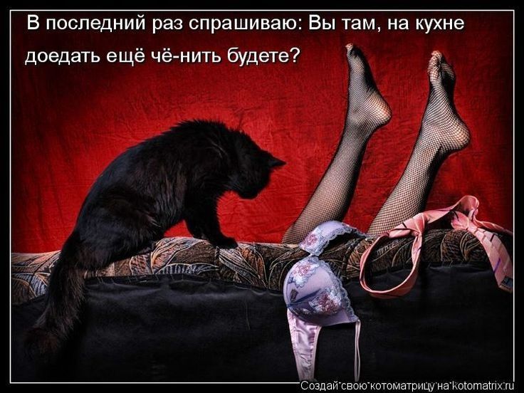 В последний раз спрашиваю Вы там на кухне доедать ещё чё нить будете ай собилетоватрицу е Ианотай НЙ