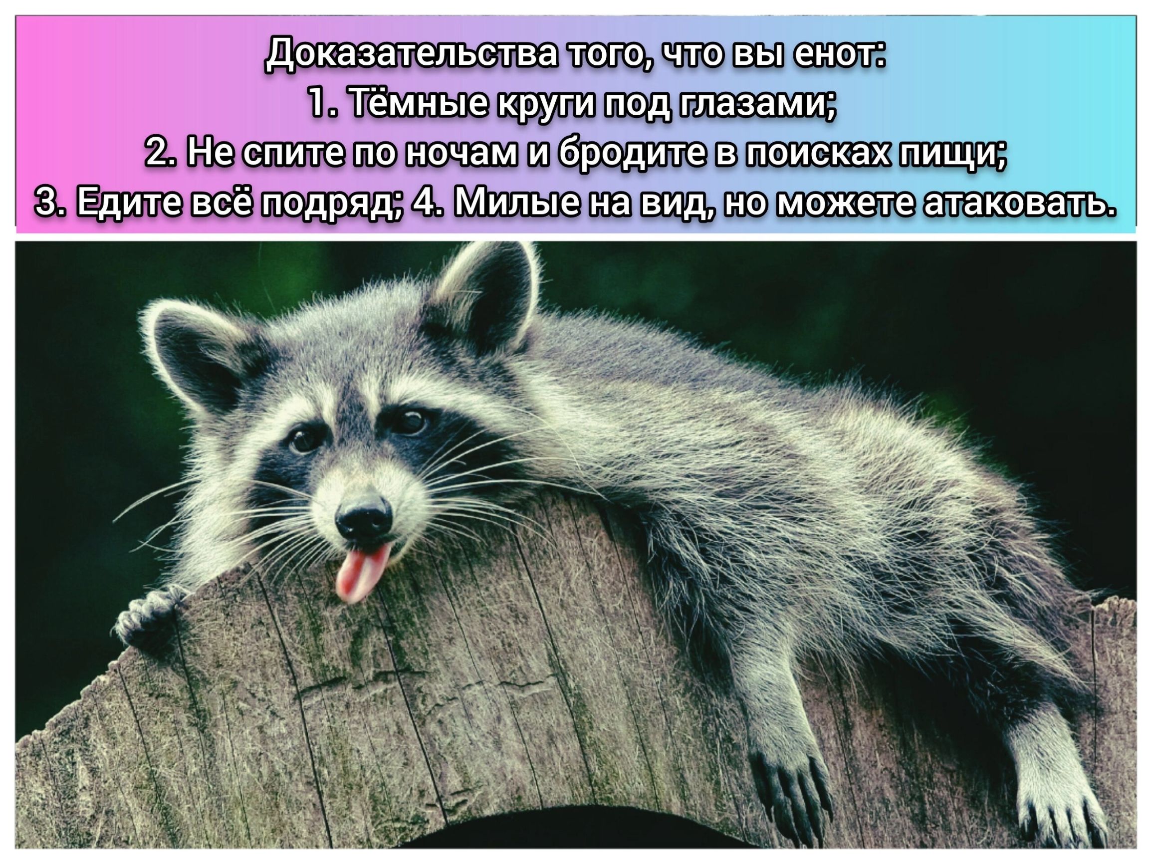 шшлщ