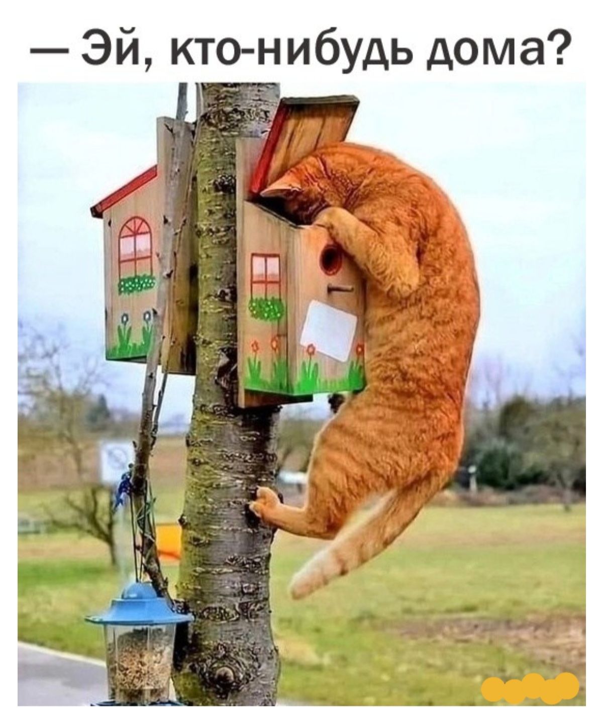 Эй кто нибудь дома МЕ