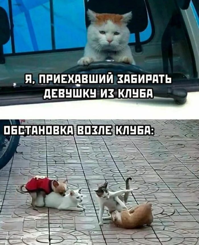 Я ПРИЕХАВШИЙ ХАБИРАТЬ ДЕВУШКУ Их КЛУБА___