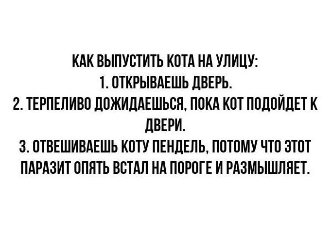КАК ВЫПУСТИТЬ КОТА НА УЛИЦУ 1 ОТКРЫВАЕШЬ ДВЕРЬ 2 ТЕРПЕЛИВО ДОЖИДАЕШЬСЯ ПОКА КОТ ПОДОЙДЕТ К ДВЕРИ 3 ОТВЕШИВАЕШЬ КОТУ ПЕНДЕЛЬ ПОТОМУ ЧТО ЭТОТ ПАРАЗИТ ОПЯТЬ ВСТАЛ НА ПОРОГЕ И РАЗМЫШЛЯЕТ