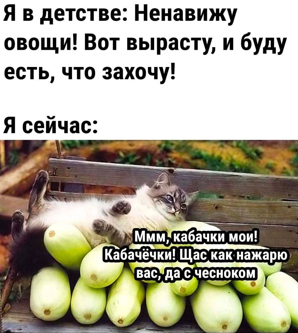 Я в детстве Ненавижу овощи Вот вырасту и буду есть что захочу Я сейчас оЧЛ МОЫ Кабачёчки Щас какнажарю вастдаС чесноком у