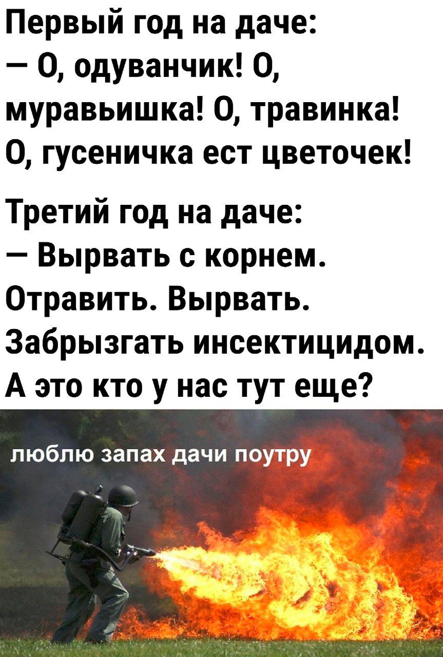 Первый год на даче 0 одуванчик 0 муравьишка 0 травинка 0 гусеничка ест цветочек Третий год на даче Вырвать с корнем Отравить Вырвать Забрызгать инсектицидом А это кто у нас тут еще люблю запах дачи п О утру