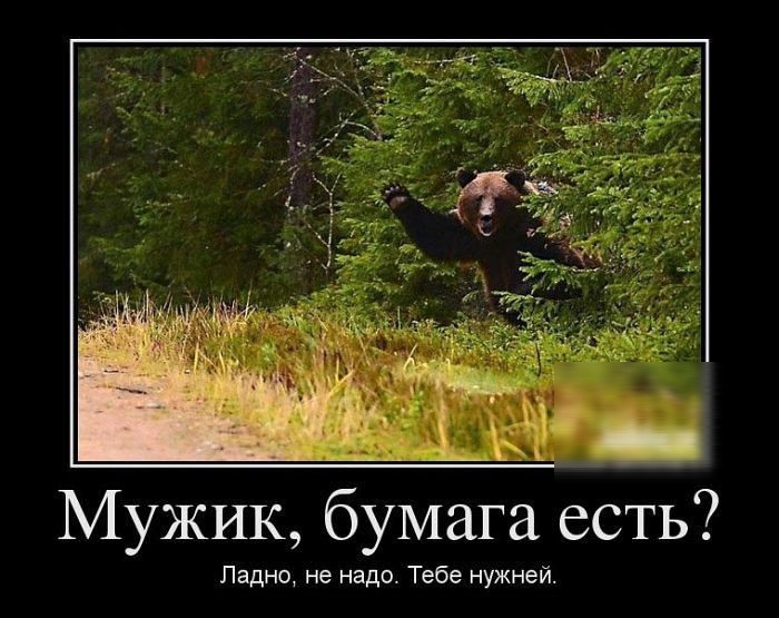 Мужик бумага есть Ледно не надо тебе нужней