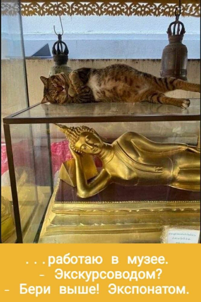 УЕ оТО Ска ТО СиЯ ЬОЬ Экскурсоводом Бери выше Экспонатом
