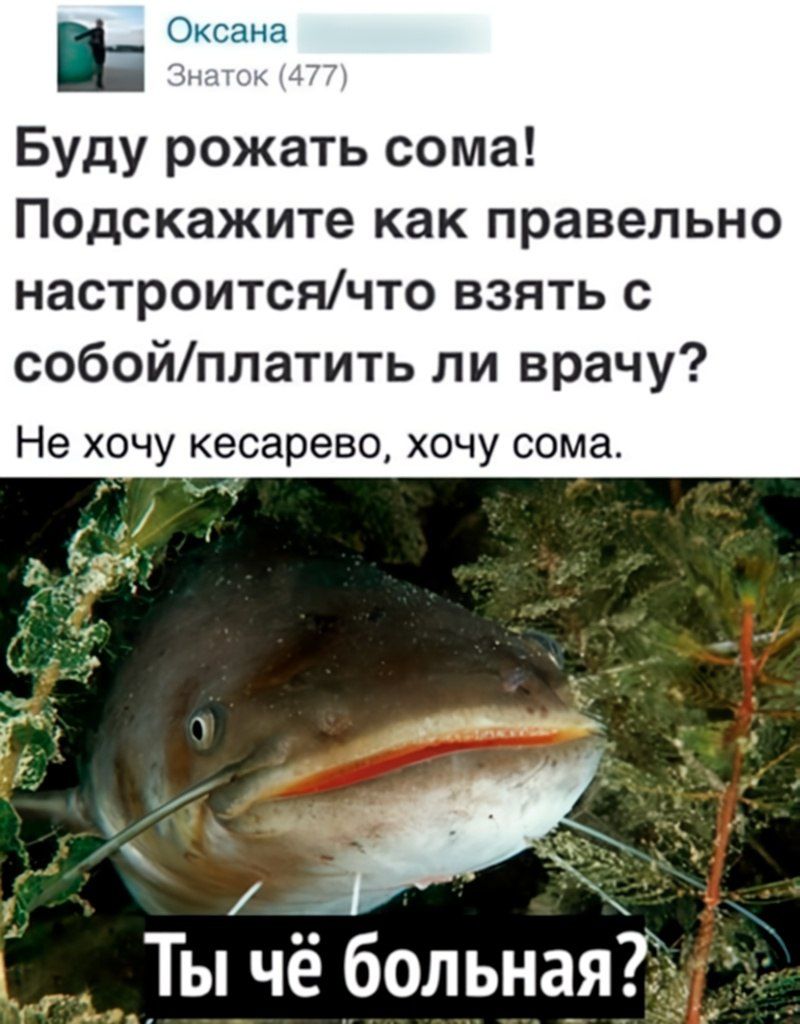 ь Оксана Буду рожать сома Подскажите как правельно настроитсячто взять с собойплатить ли врачу Не хочу кесарево хочу сома _ Ты чё больная