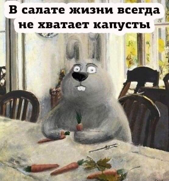 УСЕЦ рна В салате жизни всегда не хватает капусты Ь 27 э Ё е