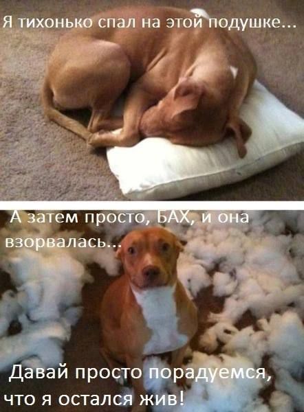 что я остался ж