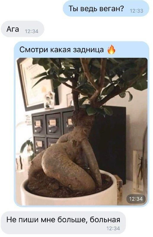 Ты ведь веган 223 Ага Смотри какая задница Не пиши мне больше больная 23