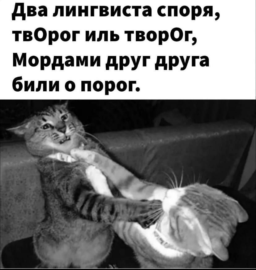 Два лингвиста споря твОрог иль творОг Мордами друг друга били о порог
