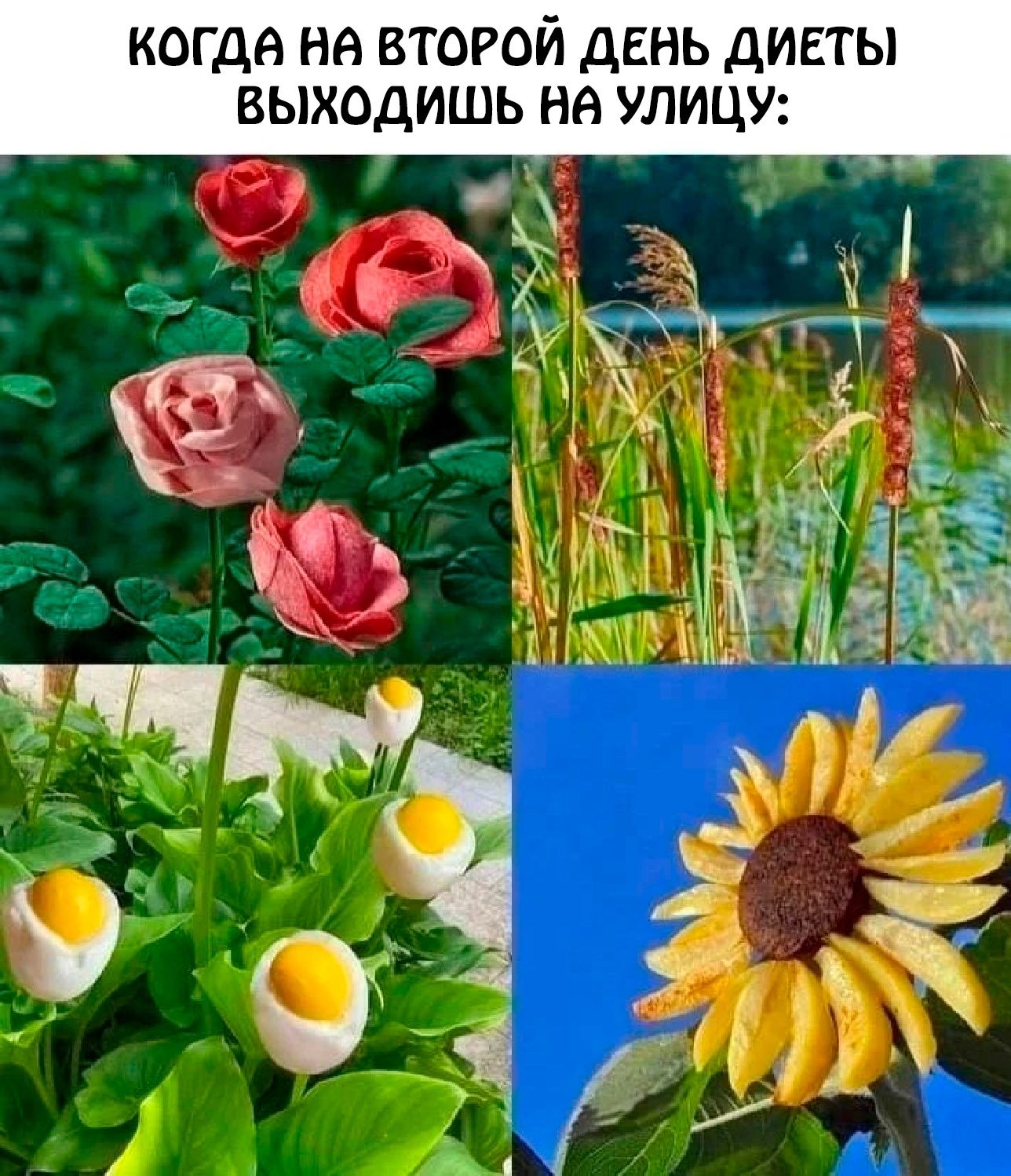 КОГДА НА ВТОРОЙ ДЕНЬ ДИЕТЫ ВЫХОДИШЬ НА УЛИЦУ