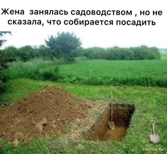 Жена занялась садоводством но не сказала что собирается посадить Г м
