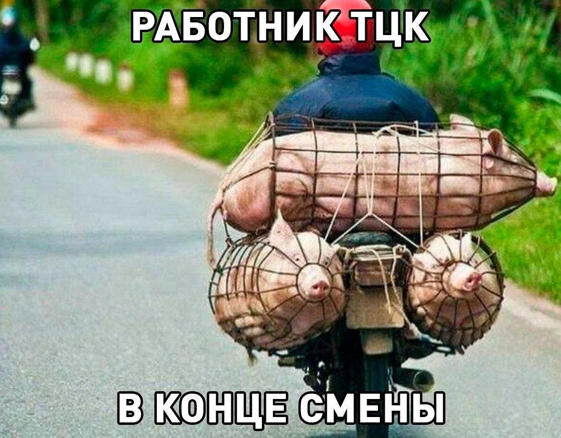 РАБОТНИКТЦКуо ой